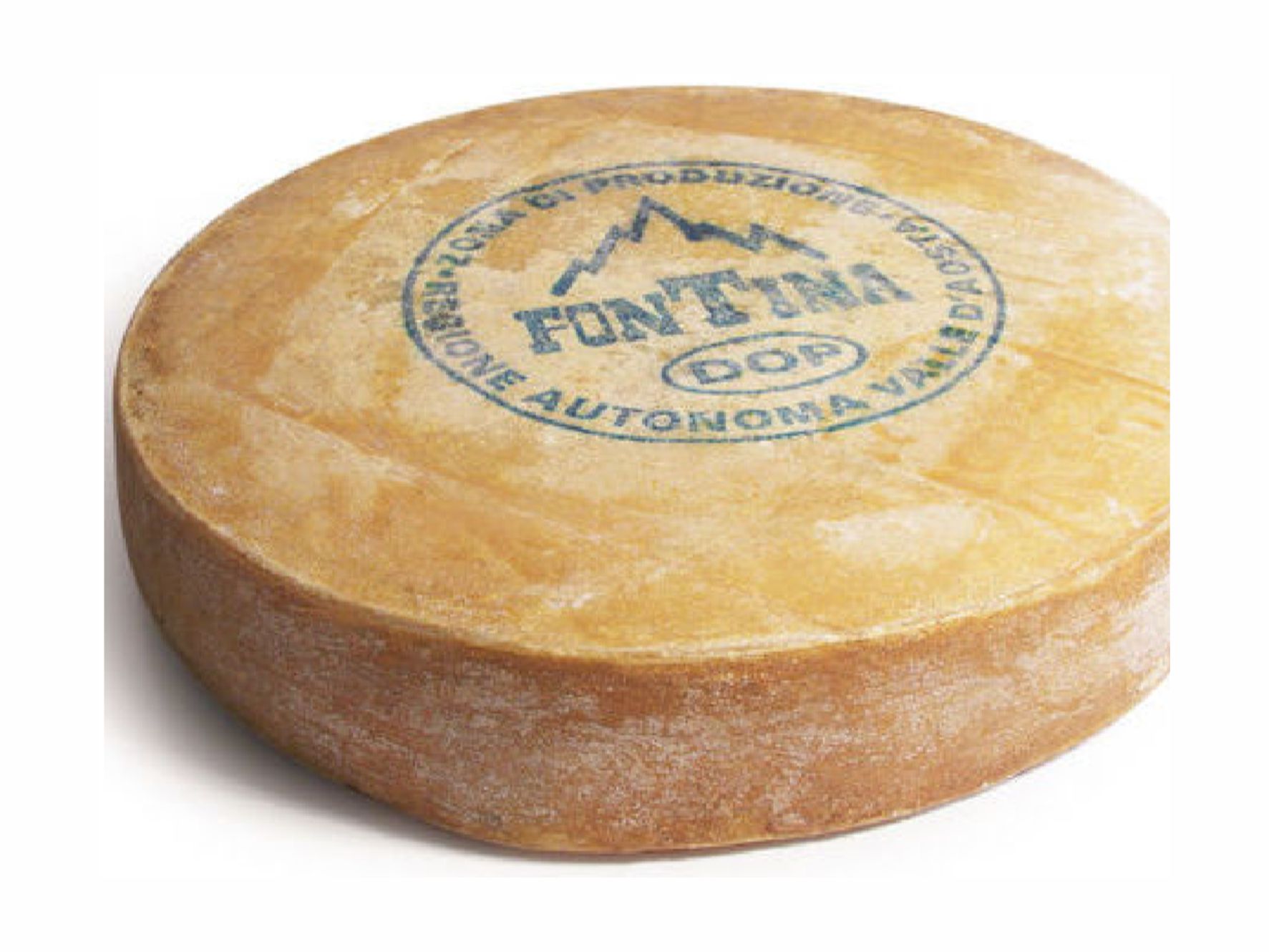 Купить головку сыра. Штампы для сыра. Печать для сыра. Штамп на сыре. Штампы для маркировки сыра.